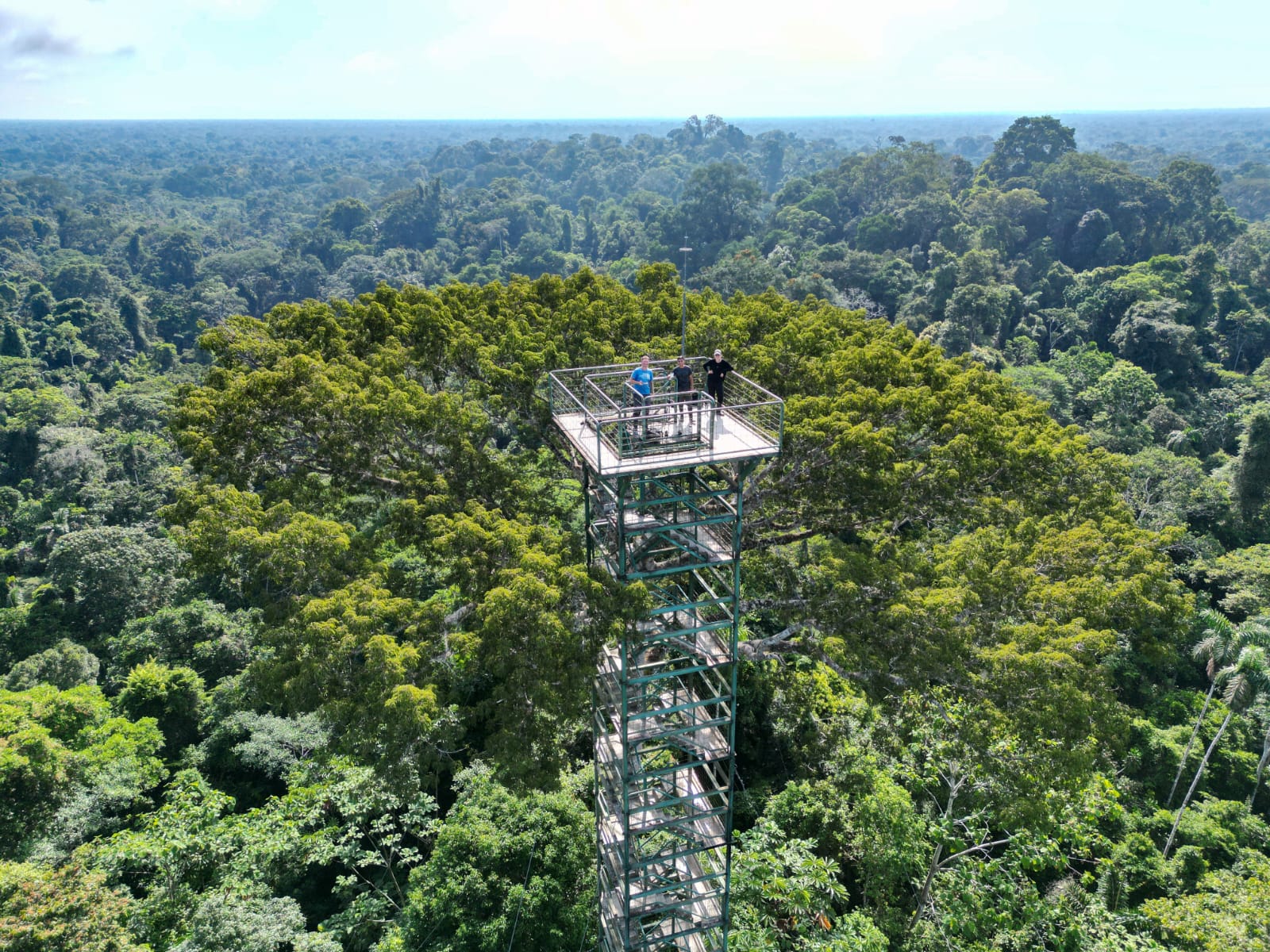 Yasuni National Park Amazon Ecuador