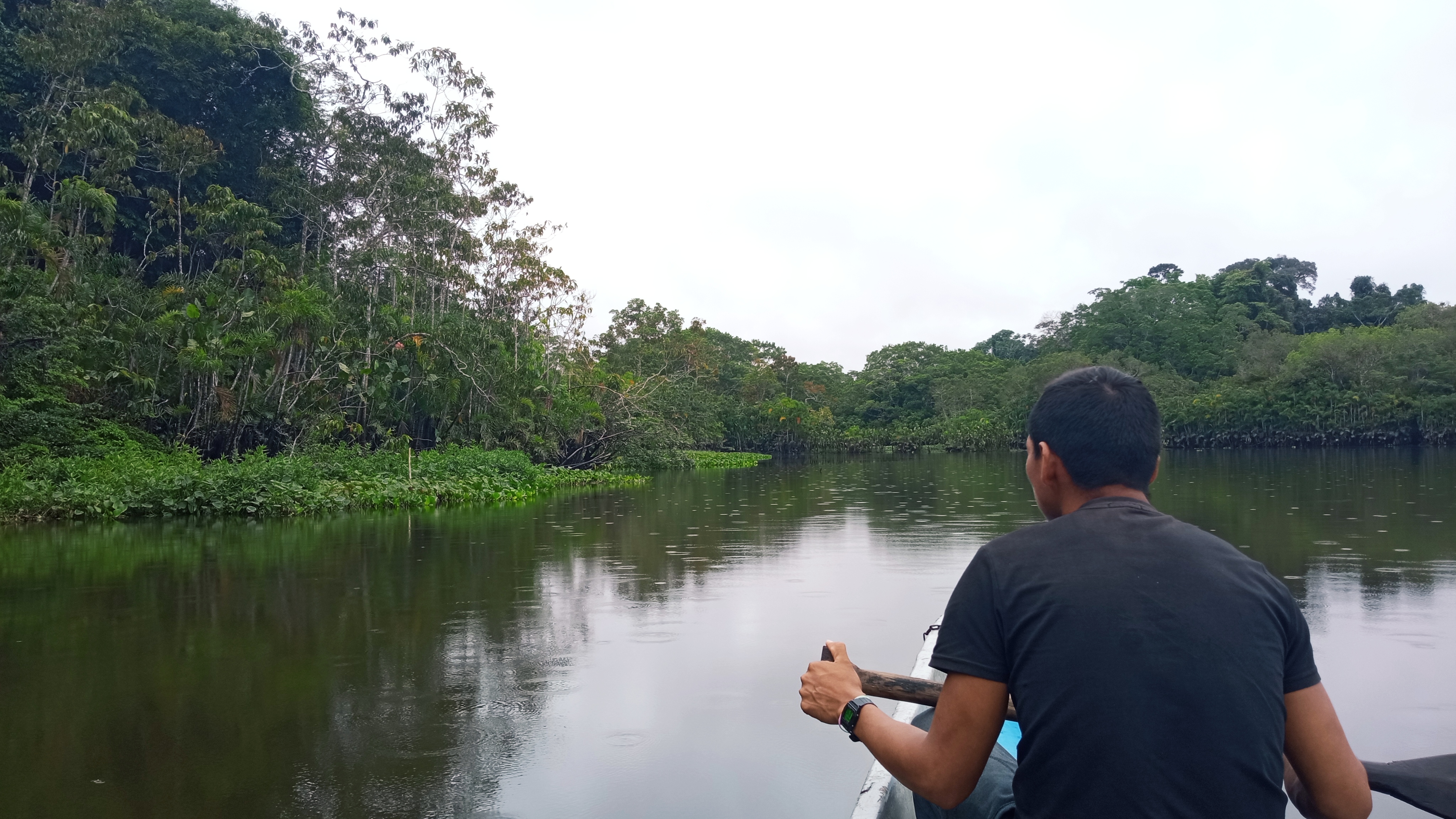 Napo River view during Yasuni National Park tour