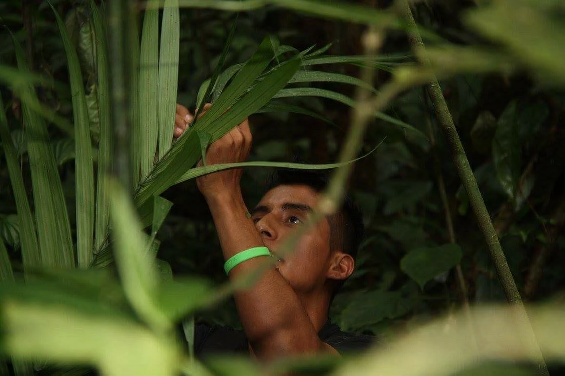 Ecuador Amazon Andes eco tourism Henry Eco Tours