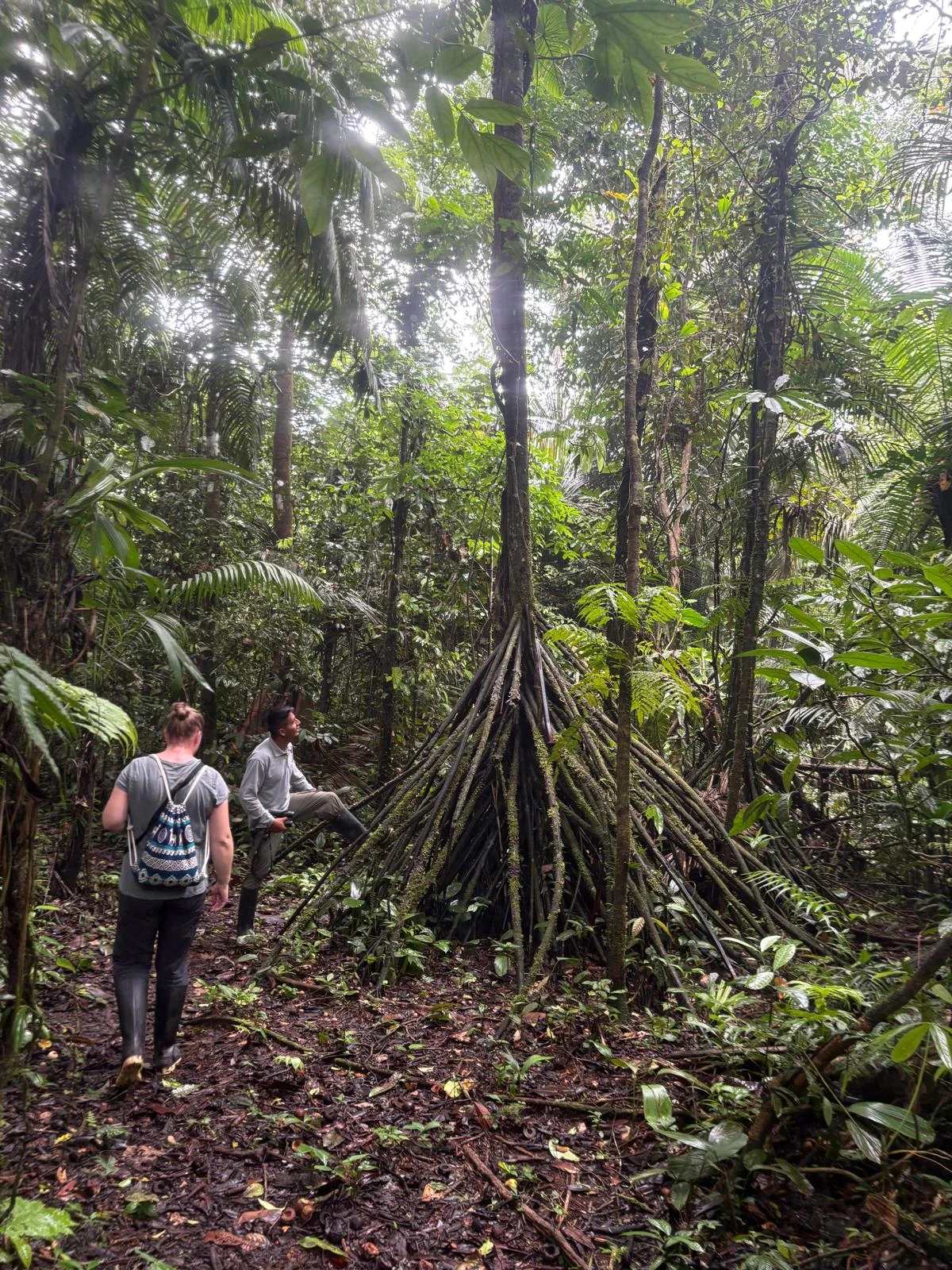 Guided jungle adventure in the Ecuadorian Amazon