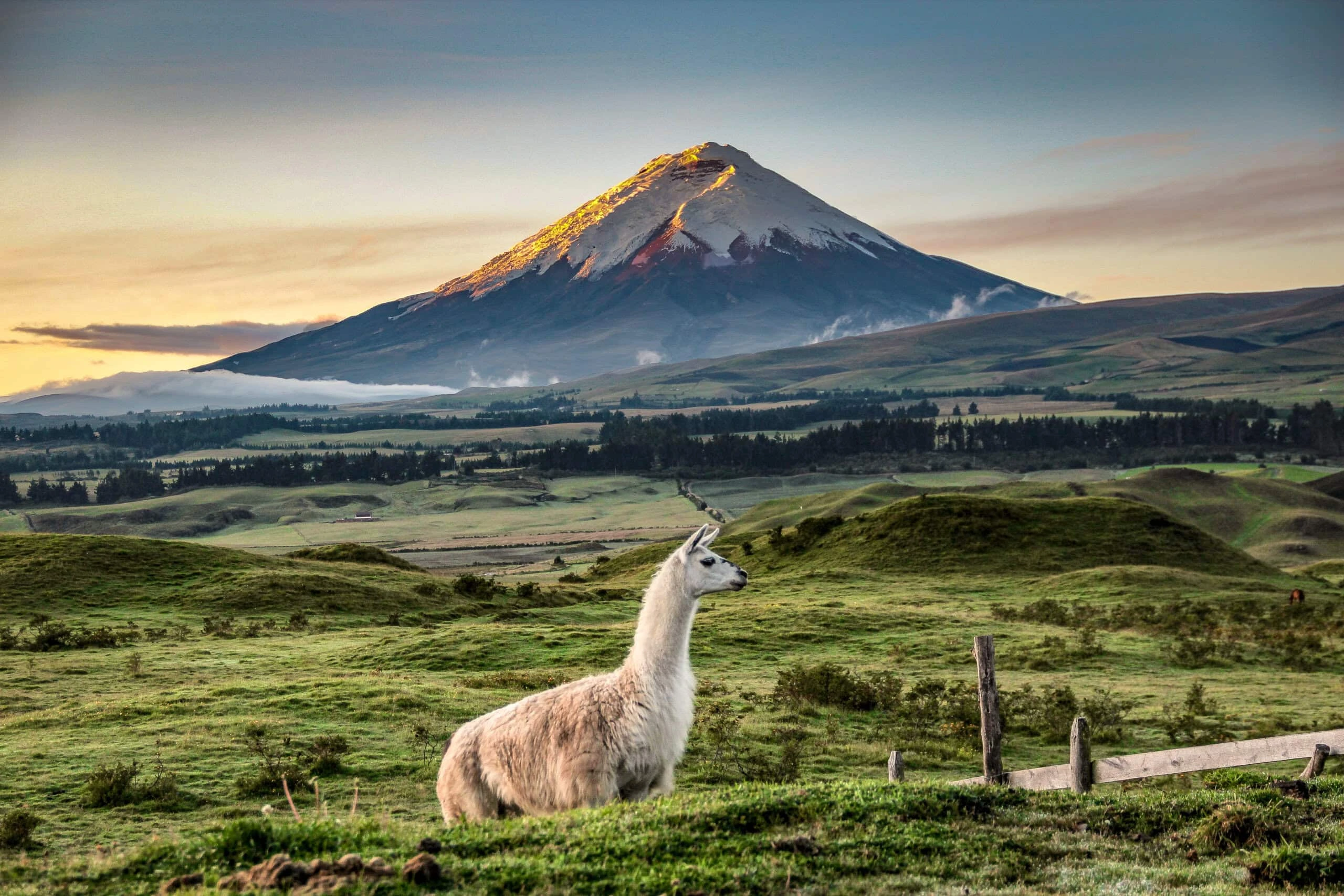 Andes Ecuador cultural tours