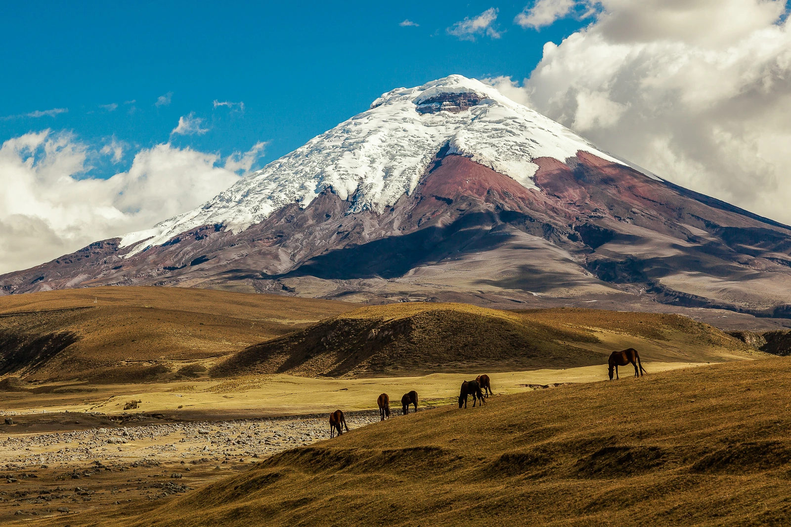 Cotopaxi volcano and Otavalo market tour Ecuador culture and nature