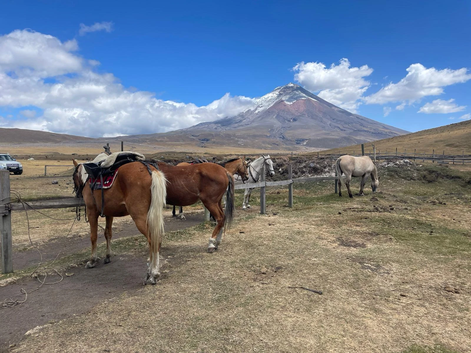 Ecuador tour packages and multi-day travel experiences