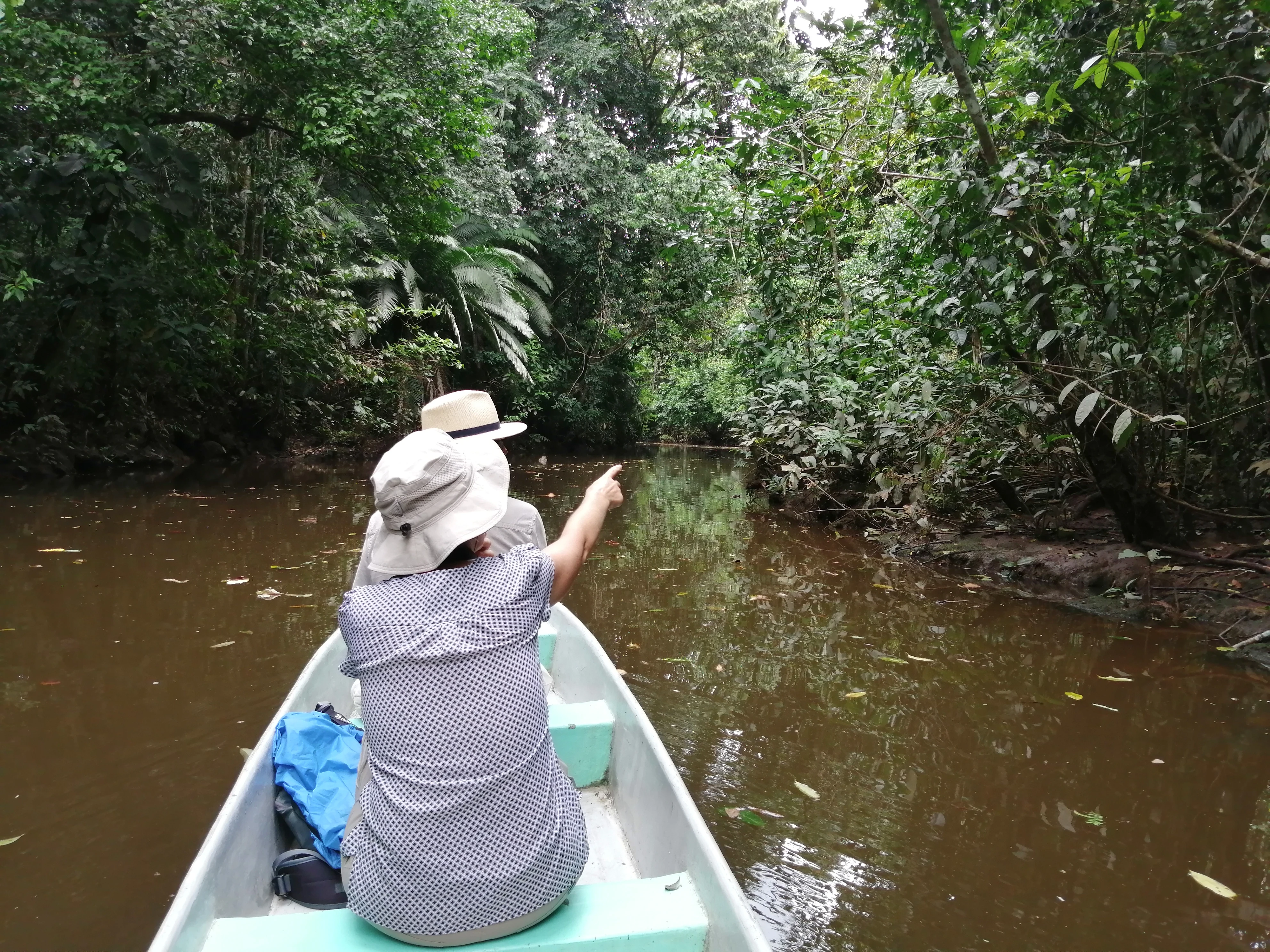 Yasuni wildlife tour with canoe exploration in Limoncocha rainforest